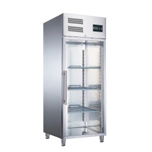 SARO Tiefkühlschrank mit Glastür, Modell EGN 650 BTG 